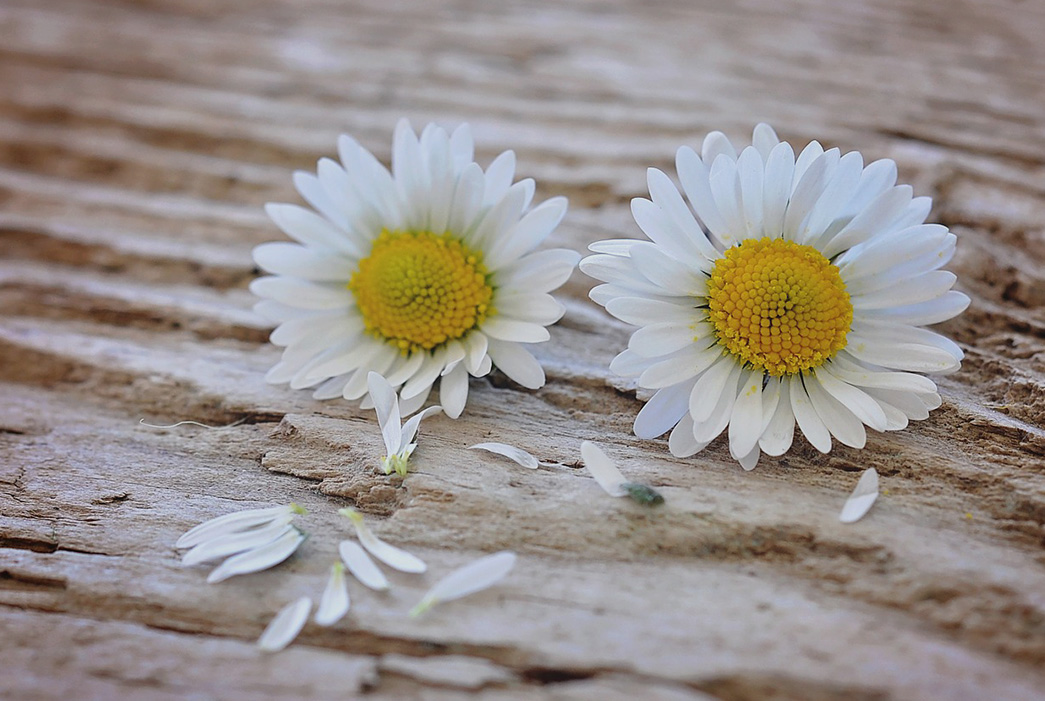 Latest Blog