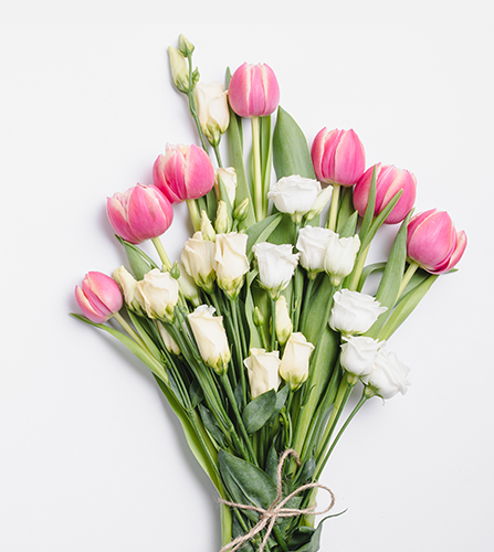 cms-banner3